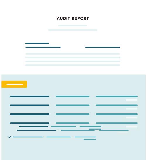Audit Reports